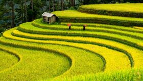 Tourists hiking in Sa Pa’s misty mountains on a Lao Cai Tours adventure with Legend Travel Group in Vietnam.